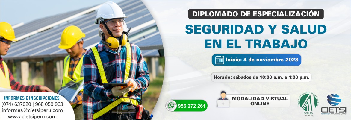 DIPLOMADO DE ESPECIALIZACIÓN EN SEGURIDAD Y SALUD EN EL TRABAJO 2023 2024